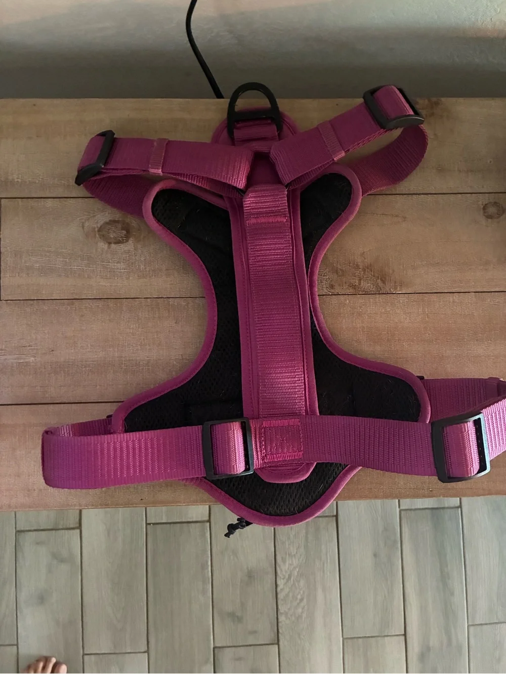Kong Dog Harness